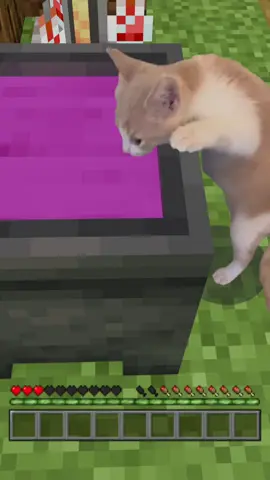 #Minecraft #funny 