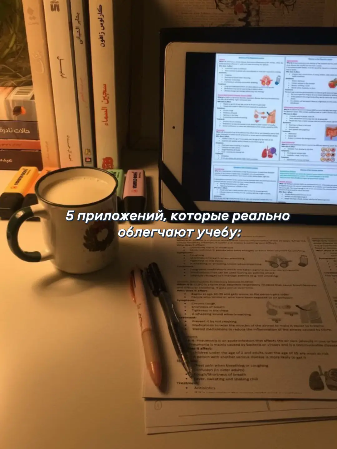 #учёба #школа2025 #полезно #стадиток #мотивация #осень2025 #notion #учёбастайл #лайфхаки #учитьсялегко
