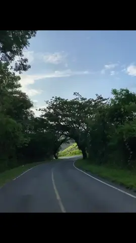 lagi
