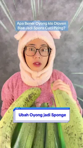 Menolak lupa 😡 #oyong #loofah #gambas #sponge #experiment #serunyaditiktok 
