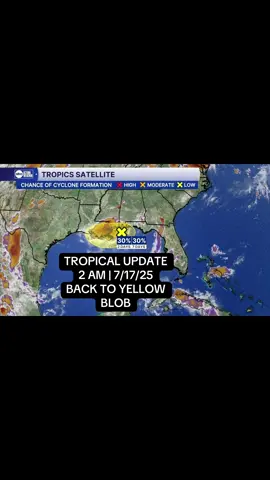 TROPICS | 2AM update from NHC lowers the chance of development in the north-central Gulf to 30%. The low remains broad and disorganized. It will continue west today into southern Louisiana then get pulled north. Areas of heavy rain along its path are likely. #fyp #hurricane #weather #trending #update #storm #tropics #florida #la 