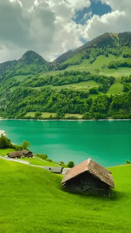 #سويسرا🇨🇭 #طبيعة #هدوء #سياحة #سفر #موسيقى🎶 