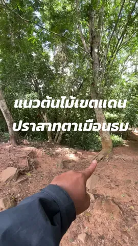 พาไปดูแนวต้นไม้เขตแดนฝั่งไทย บริเวณด้านหน้าปราสาทตาเมือนธม #ปราสาทตาเมือนธม #ต้นไม้เขตแดน #ฝั่งไทย 