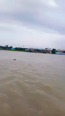 ইনশাআল্লাহ সময় আমার ও আসবে তখন আমি ও দেখাবো সেই মানুষ টা কে  শুধু সময়ের অপেক্ষায় আছি😅❤️‍🩹😌