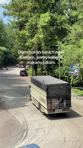 🥺 #fyp #trukganteng #malalasodrek #minangtiktok 