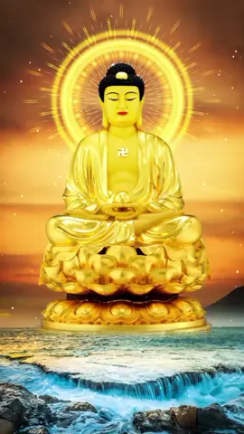 Nhạc Niệm Nam Mô A Di Đà Phật 4 chữ  #nammoadidaphat #nammoadidaphat4chu #adidaphat🌿 #a_di_đà_phật #moadidaphat 
