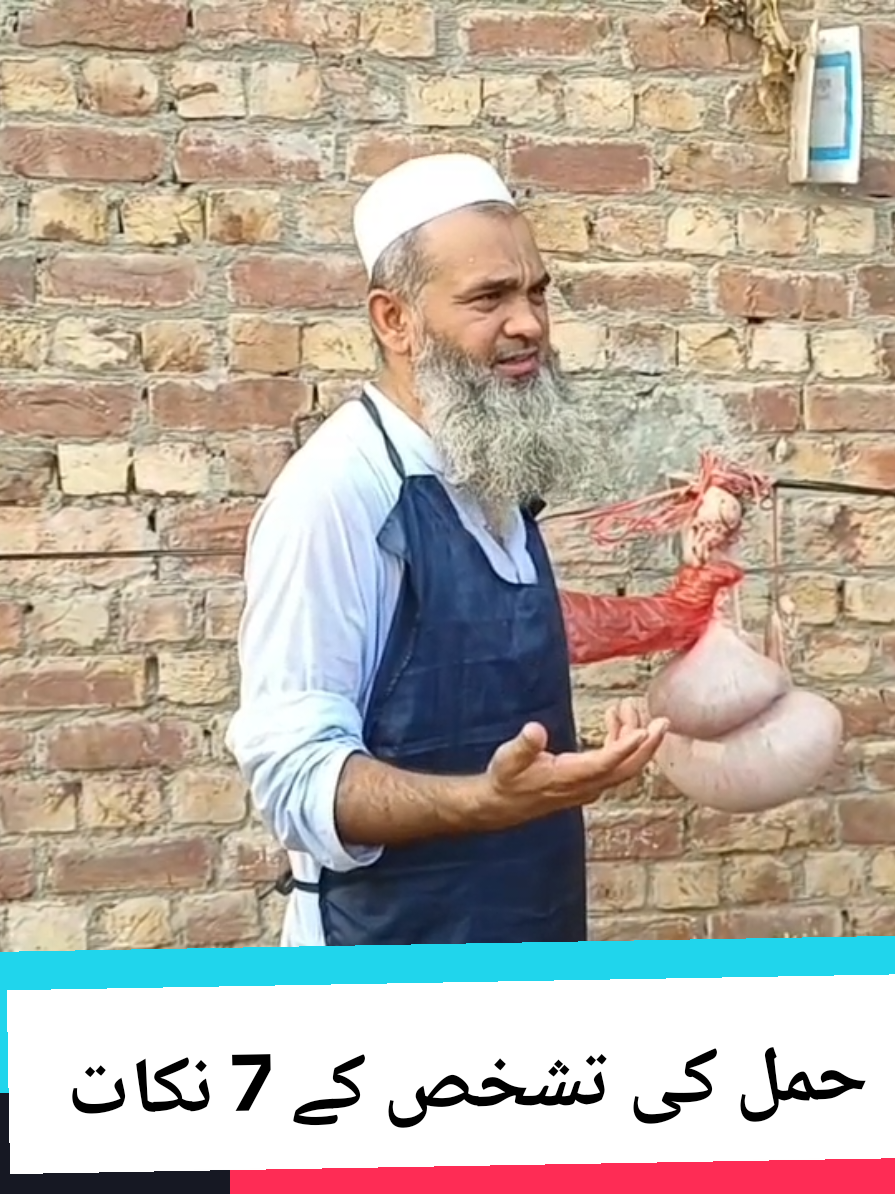 حمل کی تشخص کے 7نکات  #DVM #LAD  #va  #Ibn-e-siena #vetrinarian #vet #fyp#drshafique 