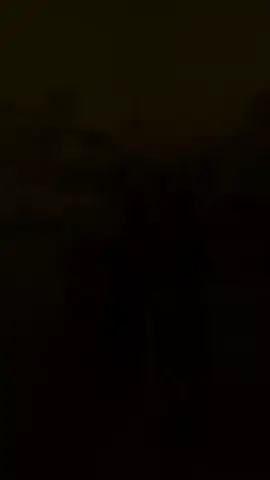 #CapCut 