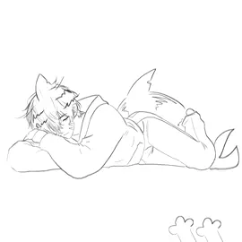 this is Ryo, he is a tiger shark 