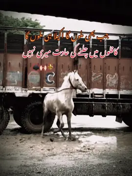 #CapCut #unfrezzmyaccount #اناپرست #lines🔥 