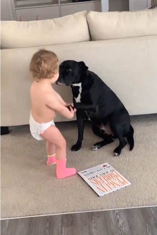 Special bond between dogs and babies ❤️#dog #baby #pet #Love #cute #bestfriend #dogsoftiktok #foryou #usa🇺🇸 