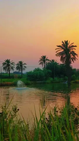 #تصويري_احترافي_الاجواء👌🏻🕊😴 #لطميات_حسينيه #هيه_هاي_الدنيه_هيج_تريد #شهر_محرم #