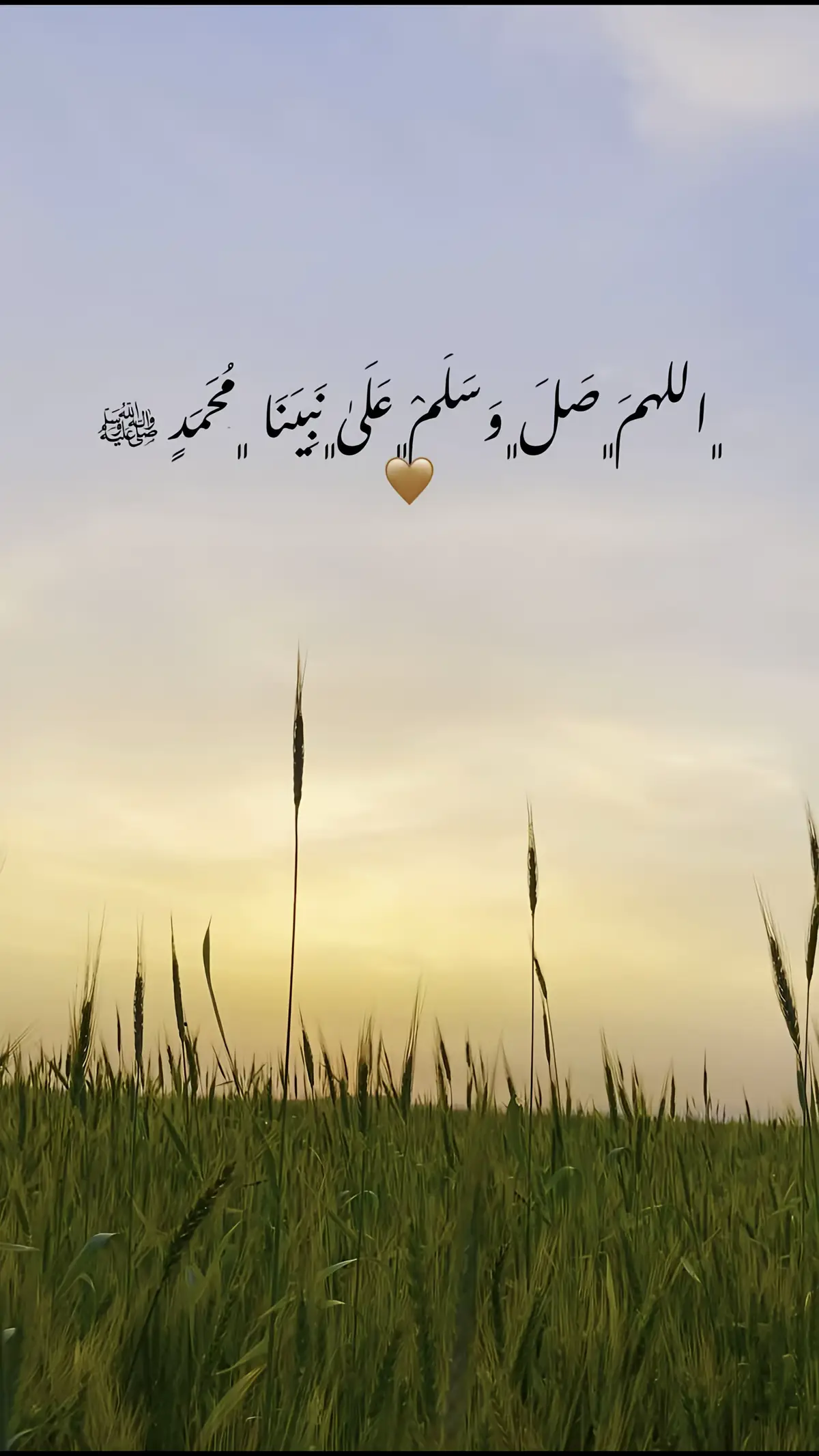 #صلوا_على_النبي #صلي_الله_عليه_وسلم 🤎
