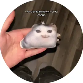 ХВХАХАХХАХ лучший заказ я считаю  #кот #мемкот #озон 