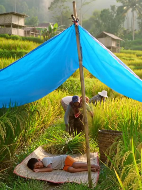 ditinggal ga mau,pas di sawah bosen, dipikiran inget temen di rumah pengen pulang mau main. 😂😂  #lewatberanda #nostalgia #nostalgia90an #fyp 
