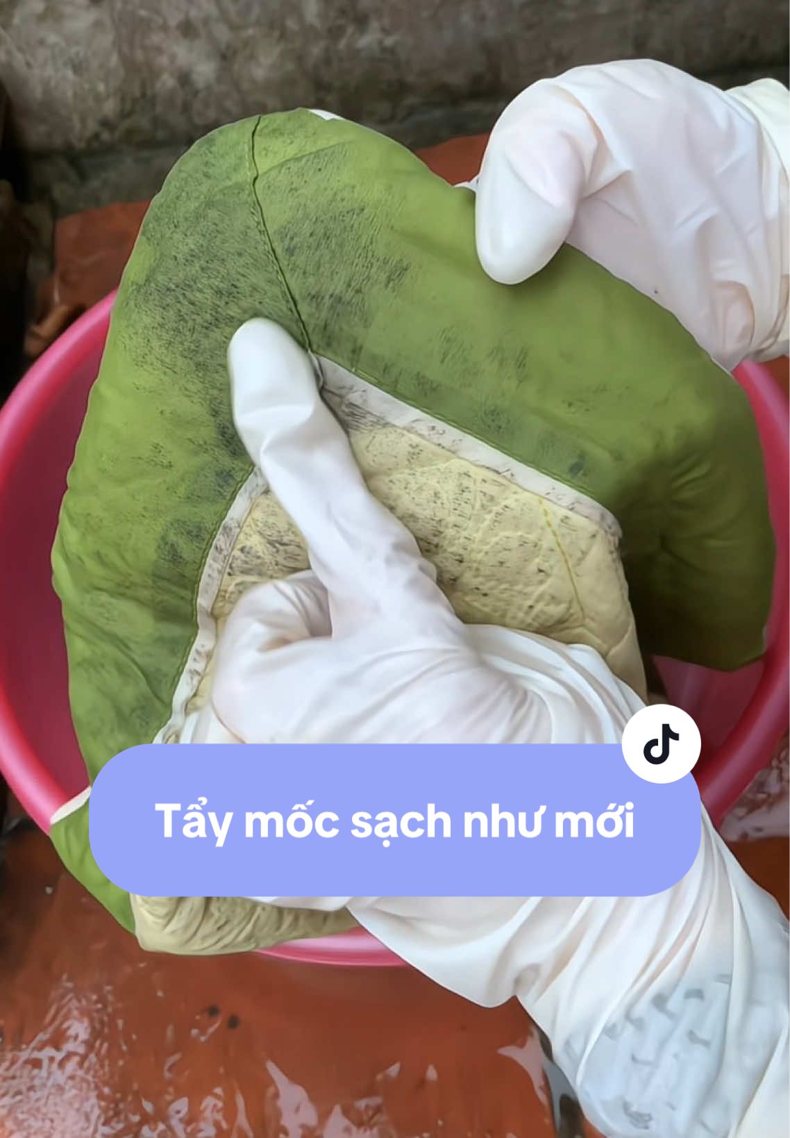 Cách tiết kiệm tiền triệu nhờ cặp tẩy mốc này#taymocquanao #taydanangecogy #taymocecogy #taydanang 