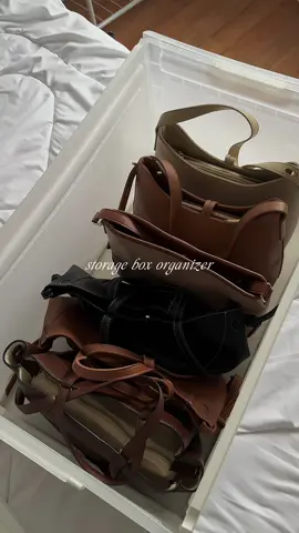 dustproof storage organizer 🤎💫 #storagebox #organizer #boxorganizer 