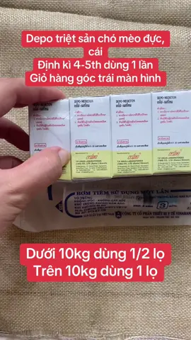 Triệt sản tại nhà ko cần đi bs nè#trietsanchomeo #trietsanchomeotainha #cho#mèo