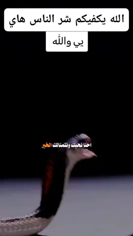 يمه مثل الحيايه 🫣