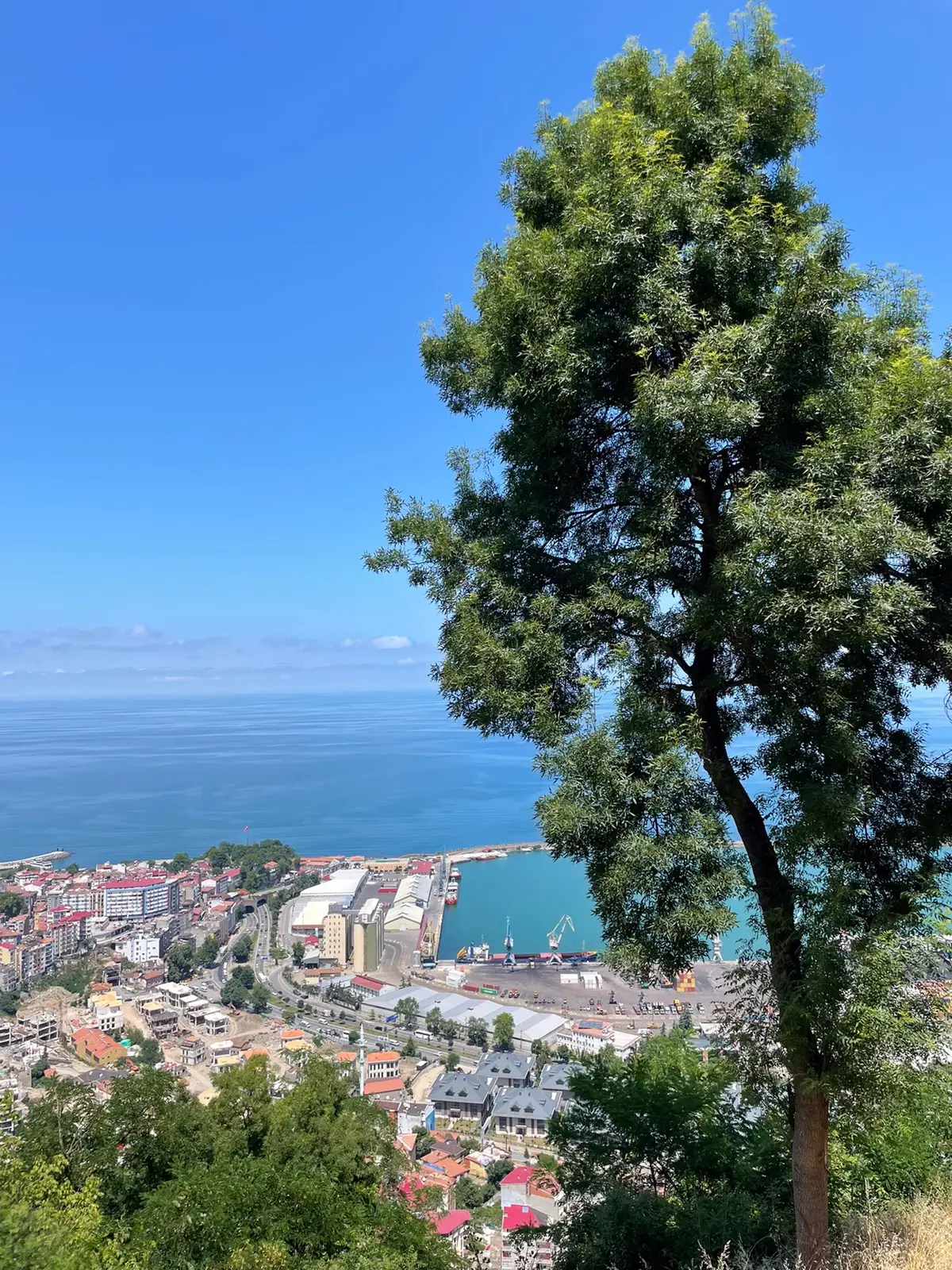 Her detayı ayrı güzel🍀 #trabzon #karadeniz #maçka 