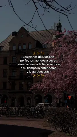 Los planes de Dios son perfectos 👏🏻👏🏻👏🏻#frasesdiarias #frasescristianas #planesdedios #mejorvida #actitudpositiva #agradecer 