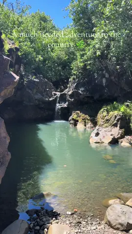 Needed a mental reset 🍃 @sarah_perry #hawaii #roadtohana #maui #fyp #foryou #trending #mentalhealthmatters 