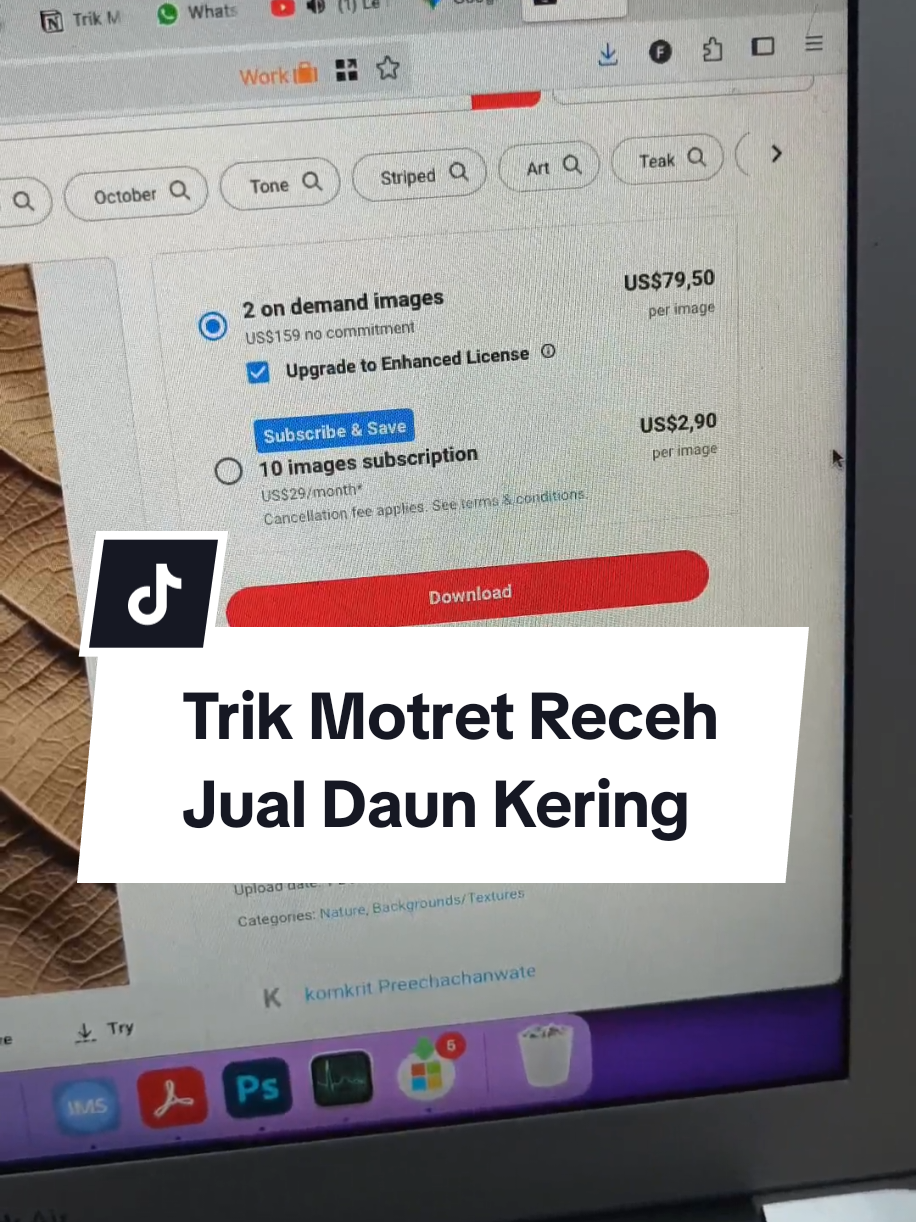 Masa cuma foto Daun Kering dijual sampe $70 lebih? 😯 #jualfoto #serunyabelajar #shutterstock #STEMTok 