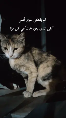 #اقتباسات #ستوريات #🖤🥀 