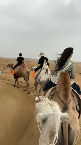 #沙漠之旅 #月牙泉 #骑骆驼 