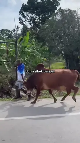 #duniasibukbanget #duniapunyacerita #hewanlucu #kelakuanmanusia #manusiacore #fypdongggggggg 