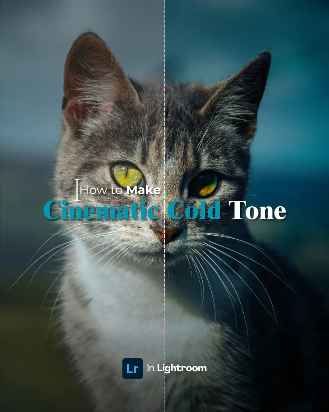 Here's the Cinematic Cold Tone Lightroom preset. You can apply this preset to your photos and create a cinematic effect. Okay, thank you! Don't forget to like if you enjoyed it. See you in another Lightroom preset tutorial.🎥✨ #lightroom #cinematic #lightroom #lightroompreset #lightroomtutorial #aesthetic #dark #photography 