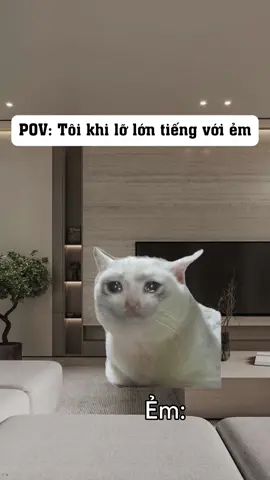 Tôi khi lỡ lớn tiếng với ẻm ny#cat #catmeme #memes #funnycats 