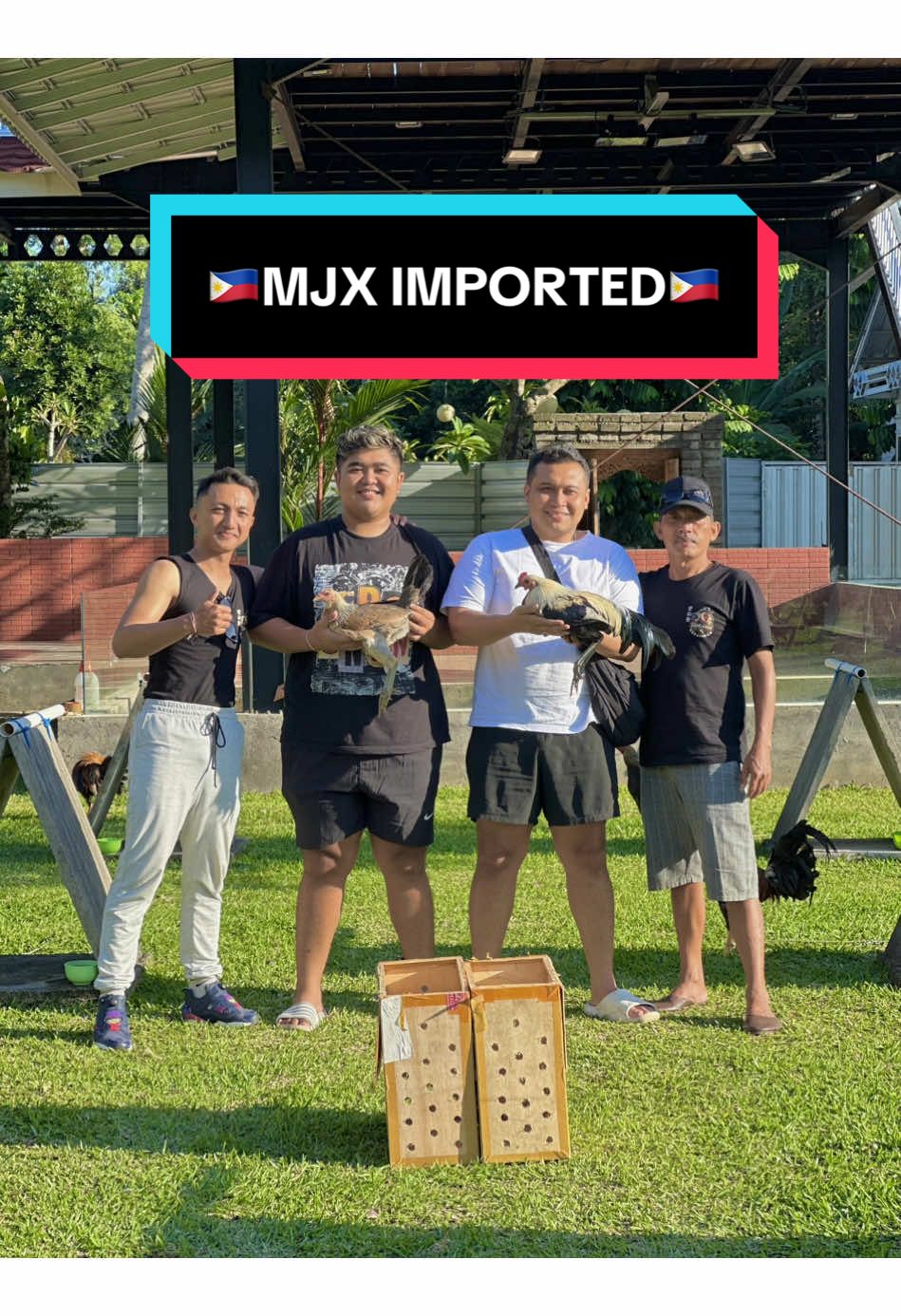 Terimakasi Banyak Semesta Atas Semua Kelancarannya Matur Suksma 🇵🇭🇵🇭💚💚@mjx.gf_imported @dewayudabagus @Kepakisan Game Farm #tidakadahewanyangtersakiti #ayamphilipin🇵🇭 #fyp 