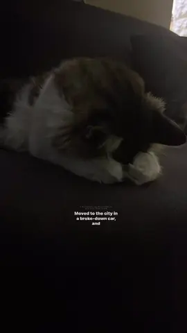 #lyrics 
