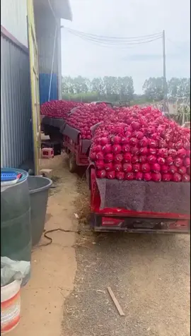 OMG 😱🍀☘️🔥💥🌱#happy#asmr#fruit#fruits 