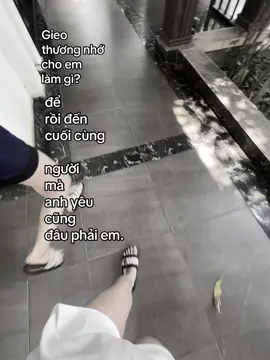 Đừng gieo hy vọng cho em ,rồi lại rời đi#xuhuong #xh 