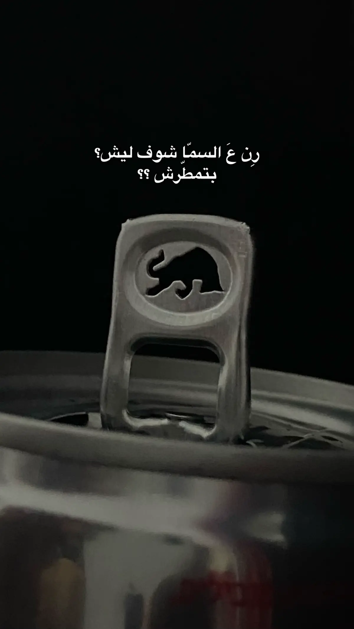 Shabjdeed 🖤✨#fyyyyyyyyyyyyyyyy #viral #shabjdeed #بلاتينيوم #xybca #redbull #jerusalem 