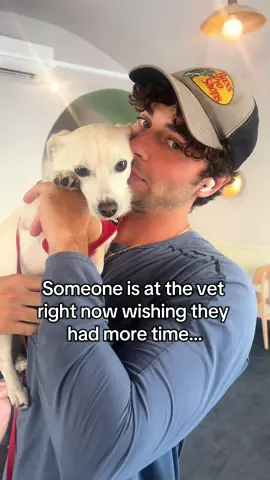 Someone is wishing for the time you have with your pet.  Give them your best while you can.  Follow Elko’s journey around the world @awayonearth  #dogtravel #rescuedog #fyp #dogfriendly #petlover #dogs #hopecore 