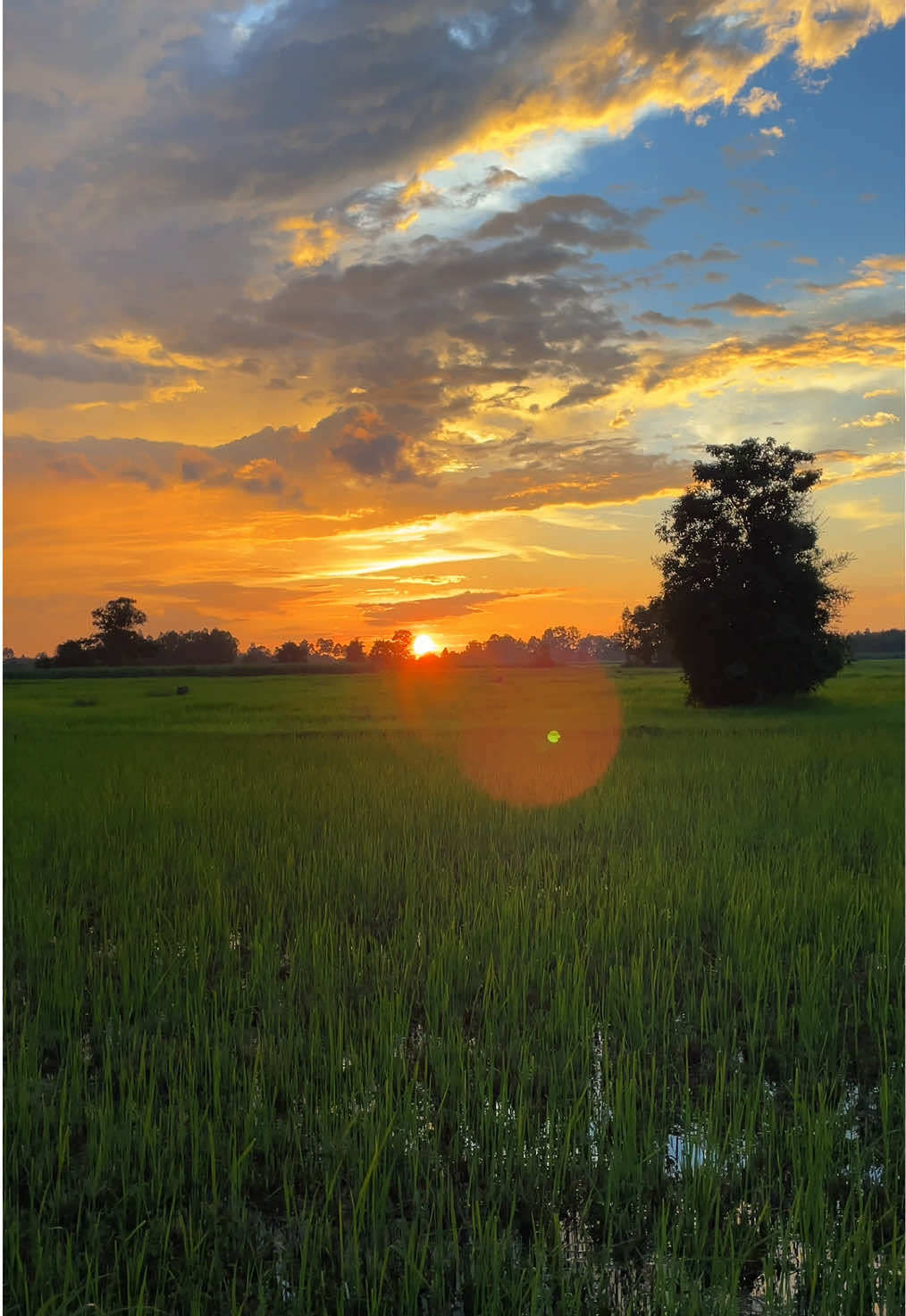 ตามเพลงเลยเด้อ #เธรดเพลง #ยืมลงสตอรี่ได้ #fyp #สตอรี่ตามทุ่งนา🌾🌾 