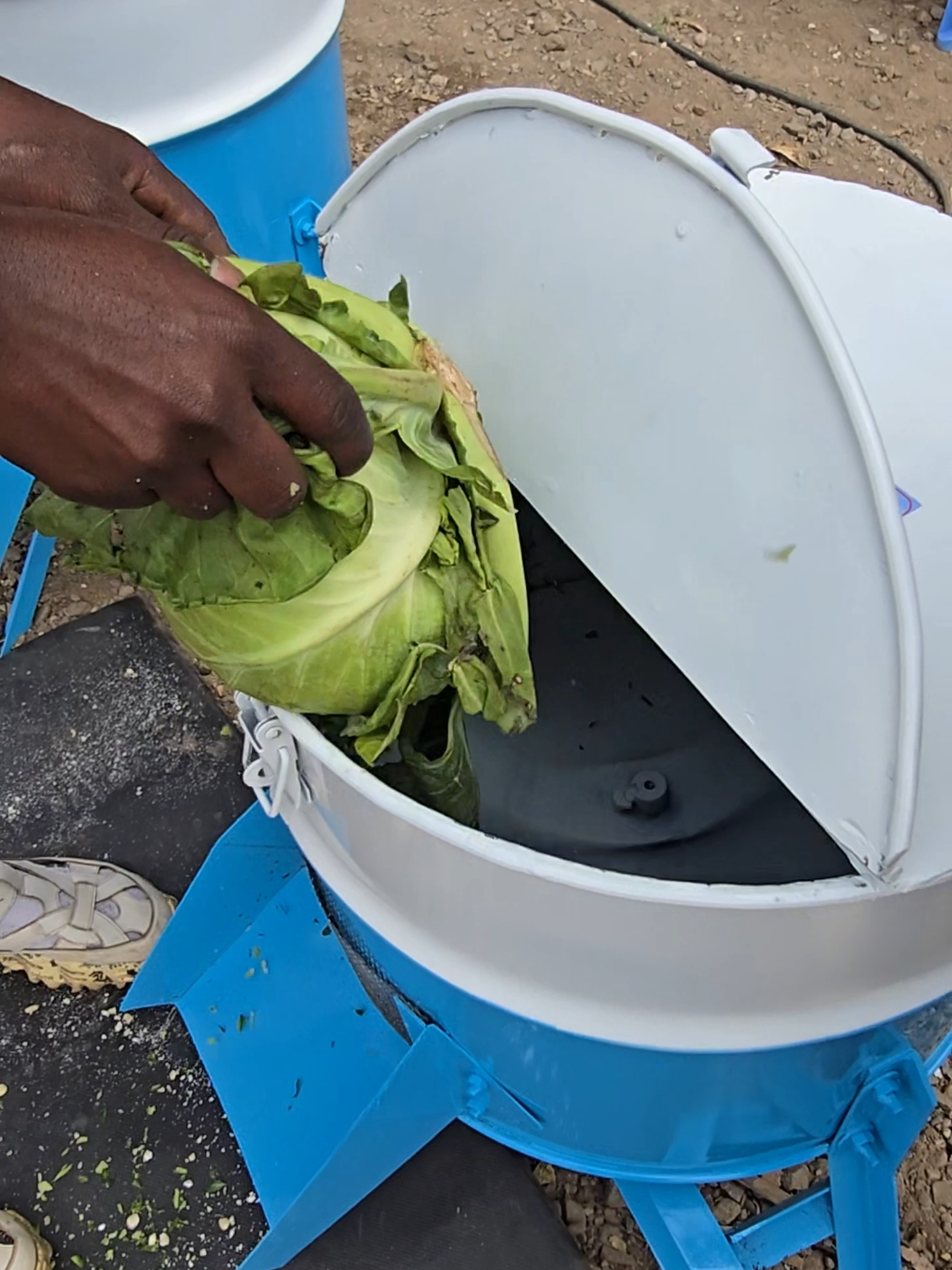 Grab this Animal feed blender and forget about buying chicken feeds. This machine has an electric motor 2.5 Kw and can be used to chop down vegetables and grains, making them easier to eat and digest for your chicken. It is available here at Eco kuku farm Ltd in various sizes Call us on 0710 095 696 to make an order or enquire more about it. we're located in Nairobi, along Outer-ring road Kariobangi, next to Kiamaiko Bus stop karibu sana! #animalfeeds #farmequipment #farmmachinery #blender #fyp #foryoupage #kenyantiktok🇰🇪 #kikuyutiktok #ecokuku