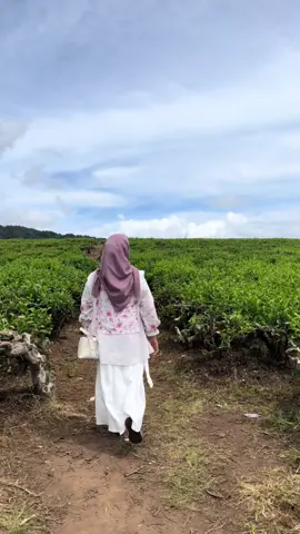 Masyaallah 😍🍃#kebunteh #alahanpanjang #sumatrabarat #fyp #fakesituation⚠️ 