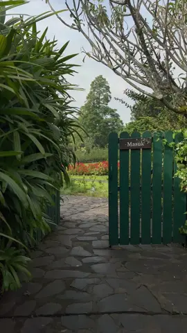 Cocok nih buat menggalau 🥰🍃  #CapCut #garut #samarang #kebunmawarsituhapa #fyp #viralid 
