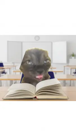 Kelas mate ada saka kot asyik buat mengantuk 🗿 #fypdong #fypシ゚ #fypp #catsoftiktok #cat #meme #homework #sekolah #lawak #matematik 