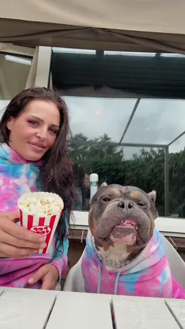 We love a movie night 🍿with dog friendly popcorn from @BooBoos_Candyshop (this popcorn is made from sheep fat) ❤️  #fyp #foryou #foryoupage #voorjou #voorjoupagina #bundleofbullies #marenraffieodincupcake #marenenraffie #vj 