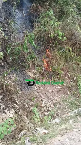 Kebakaran di lahan perkebunan masyarakat, puncak si alang, jalan Situmbuak - Situjuah. #kebaranlahan  #awasapi🔥 
