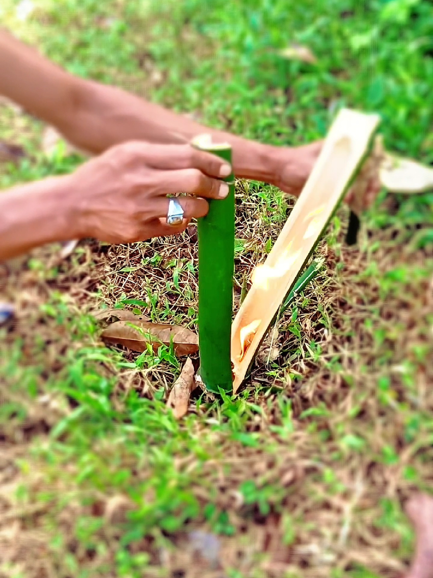 Bambu petuk Ampel hijau mengeluarkan 4pi #trending #bambupetuk #mistis #viral sembunyikan 