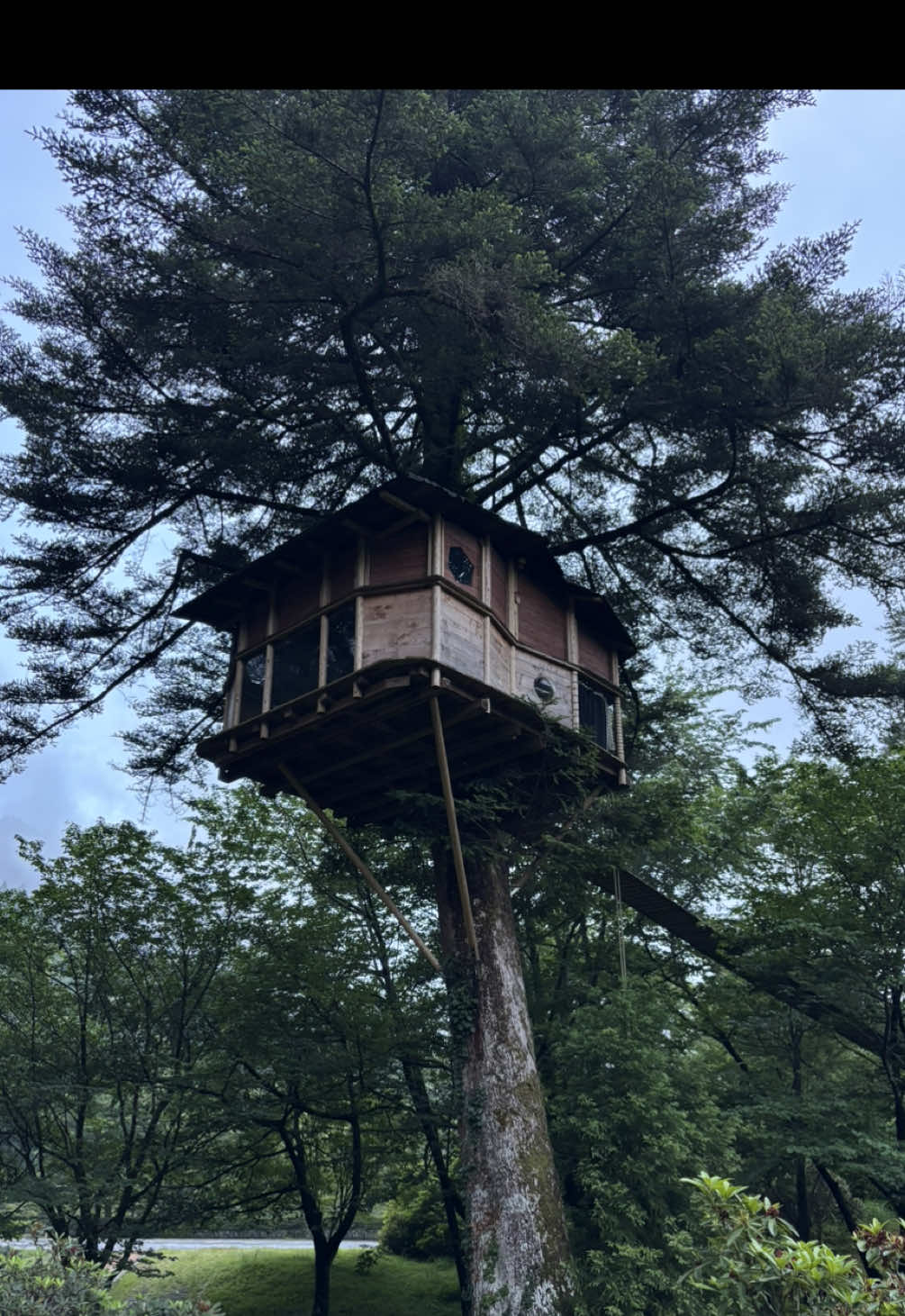 🌝🌚 #japan #triptojapan #treehouse 