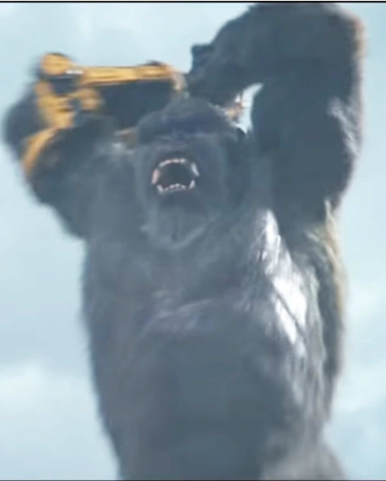 SHIMO got KONG frozen fr #godzilla #kong #kingkong #monster #monsterverse #kinhkong #godzillavskongroar #godzillaxkongthenewempire #scarking #movie 