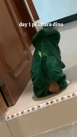 #akungabutnyamilo 