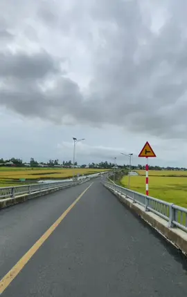 Về miền tây.. có ai về miền tây #xuhuong #canhdepthiennhien #songnuocmientay #canhdep #mientay #🌾🌾🌾 